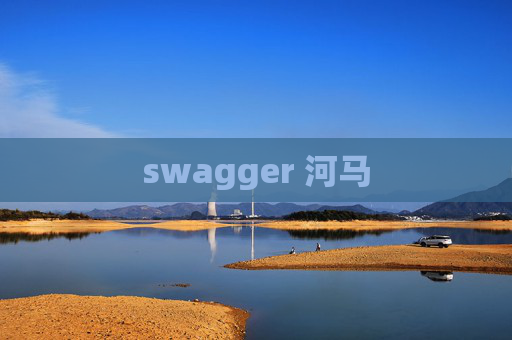 swagger 河马